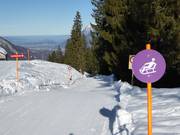 Tip for children  - Furt-Maienberg-Wangs toboggan run
