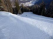 Difficult slope Nera Folgàrida