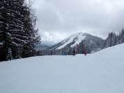 Very easy slope at Red Mountain Village