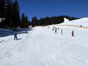 Rope lift in Kinderlachtal