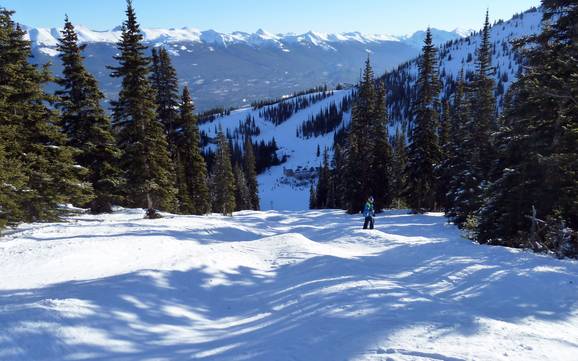 Ski resorts for advanced skiers and freeriding Jasper National Park – Advanced skiers, freeriders Marmot Basin – Jasper