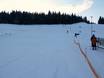 Ski resorts for beginners in Erzgebirgs County – Beginners Rölzhang – Wildenthal
