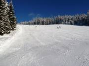 Easy slope in the upper section