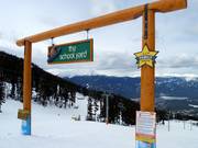 The School Yard Terrain Park for families at the Emerald Chair