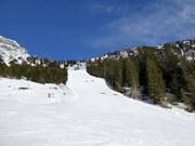 Difficult slope Brunnental