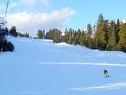 Wide and easy: The Cut