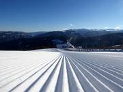 Perfect slope grooming