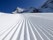 Perfectly groomed slopes beneath the Eiger Glacier