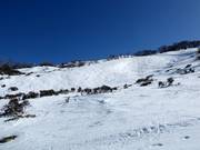 Mogul slope Central Spur