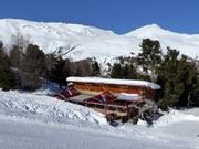 Mountain hut tip Einkehrschwung Schöneben