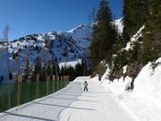 Waldalm-Heimalm slope