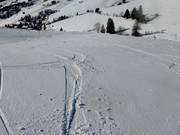 Powder snow area on the main slope at the Stübenwasen lift