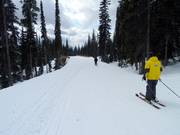 Connecting trails link the individual lifts in Big White.