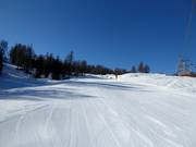 Easy slope No. 21 Olympia Pocol