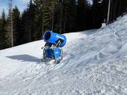 Snow cannon in the ski resort of Ravna Planina