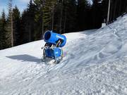 Snow cannon in the Ravna Planina ski resort