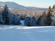 Right descent through the forest clearing