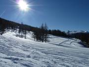 Freshly groomed high-altitude cross-country trail