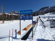 Little Ripper Carpet - People mover/Moving Carpet