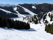 Difficult slope Variante Rainer