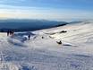 Alpe di Siusi (Seiser Alm) toboggan runs