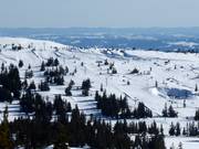 Lunnstadheisen (K) - J-bar