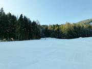 Upper section blue slope