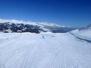 Slope No. 32 & 33 Sasolas