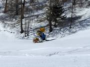 Snow cannon at the edge of the slope