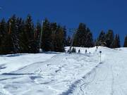 Hinterwieslift - T-bar