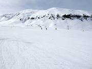 On the easy and wide slope at Ciampac, beginners can practice.