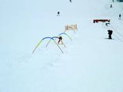 Wave track at the practice lift