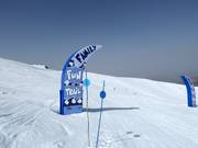 Tip for children  - Family Fun Trail