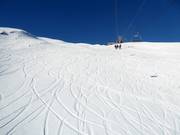 Freeriding is possible almost everywhere