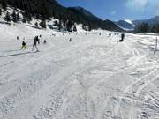 Easy Schneeflucht slope