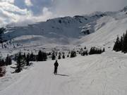 View of the slopes of Le Brévent