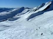Plenty of open ski terrain above the tree line