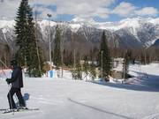 Junction of slope B2 from B1/D1