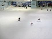 The slope in the upper section