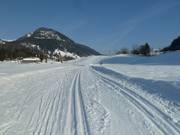 Cross-country skiing in Heutal