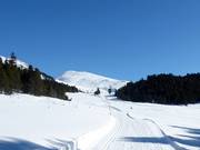 High-altitude trail "La Muntagnarda"