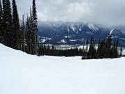 Downhill Pitch Black