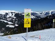 Sign for the protection of the forest