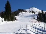 Slope at the Masucco drag lift