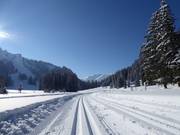 Perfectly groomed cross-country trails