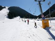 Easy slope at the Panica B platter lift at Bunderishka Polyana