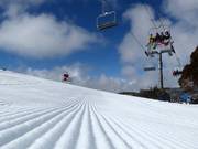 Very good slope grooming in Falls Creek