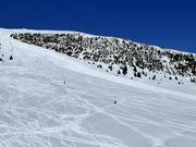 Deep powder slopes at Steinermandl