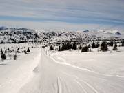 Petterheisen - J-bar