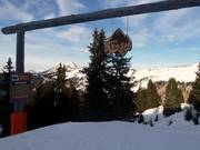 Forest run The Stash